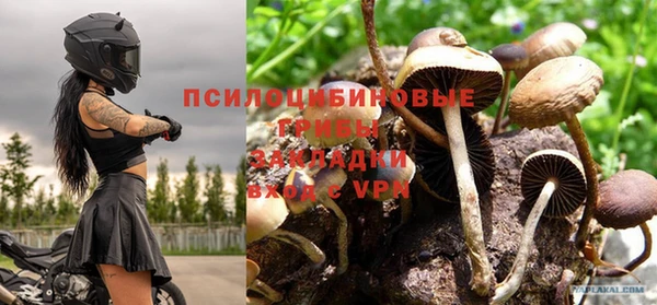 ПСИЛОЦИБИНОВЫЕ ГРИБЫ Аркадак